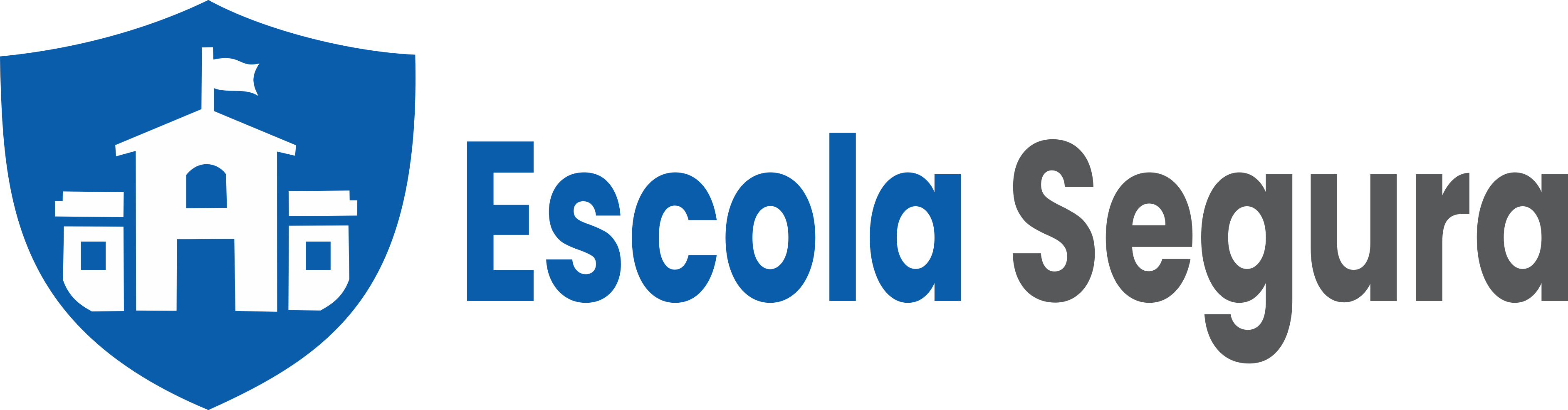 Logo Escola Segura